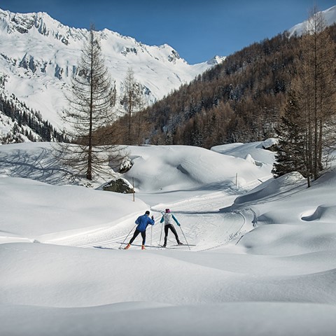 Langlaufen Ahrntal